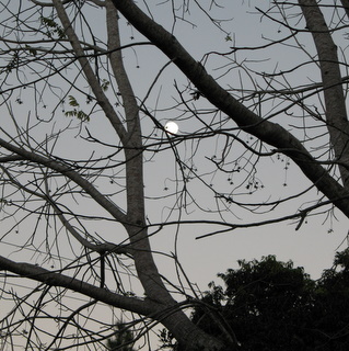 Moonrise at Boca Chica Panama