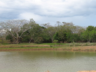 Lakefront lots at the Lost Coast in Boca Chica Panama